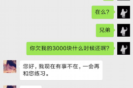 林口为什么选择专业追讨公司来处理您的债务纠纷？